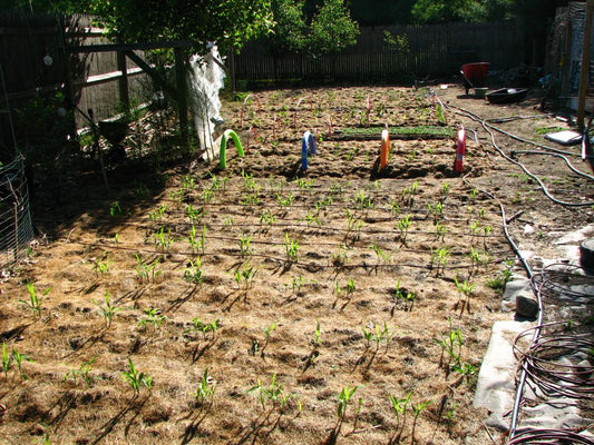 Sistema de irrigação refrescante - AquaCool