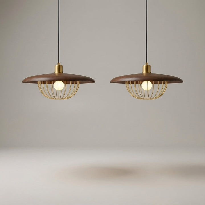 Adjustable Height Ceiling Light -  Skylure