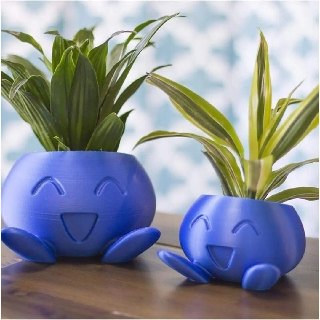 Unieke Vaso de Suculentas - QuirkyPot