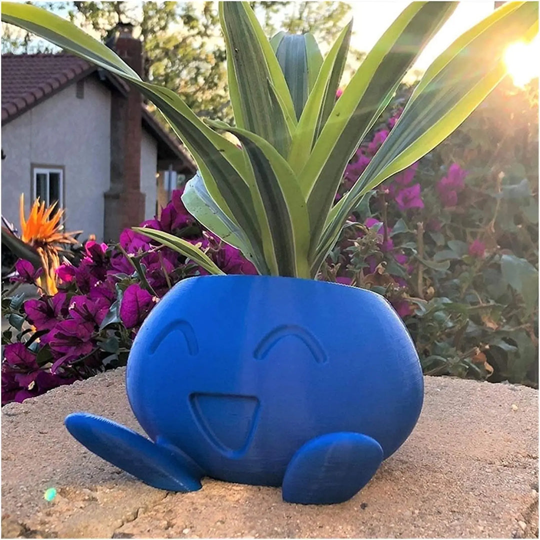 Unieke Vaso de Suculentas - QuirkyPot
