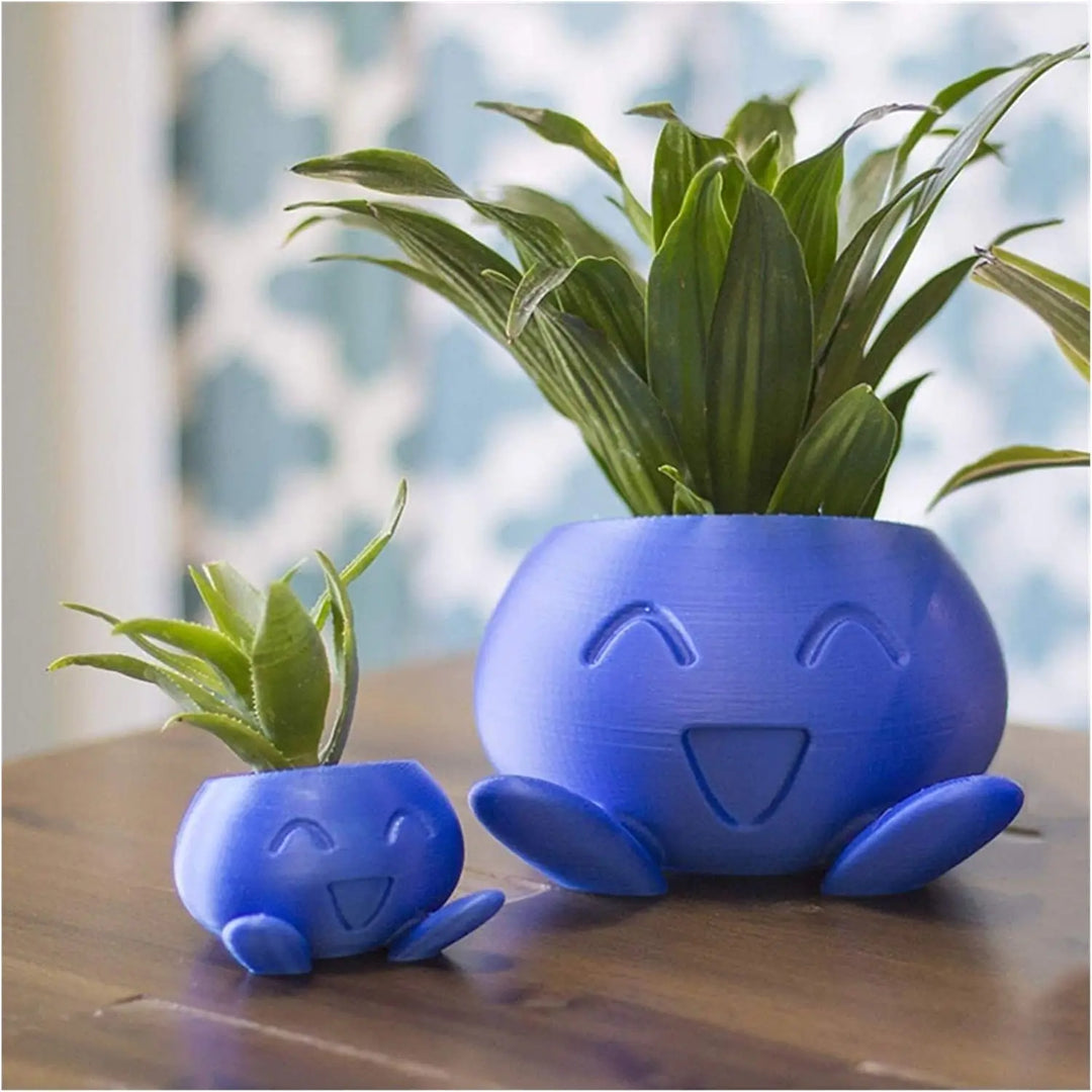 Unieke Vaso de Suculentas - QuirkyPot
