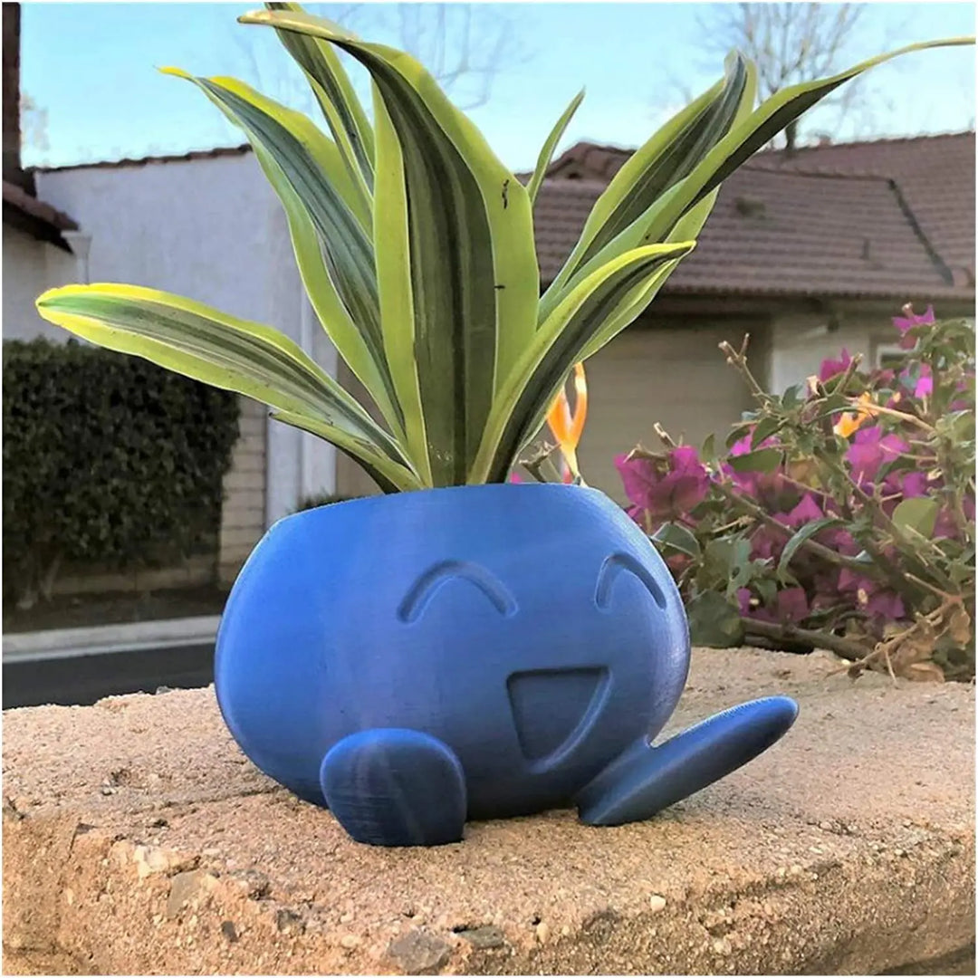 Unieke Vaso de Suculentas - QuirkyPot