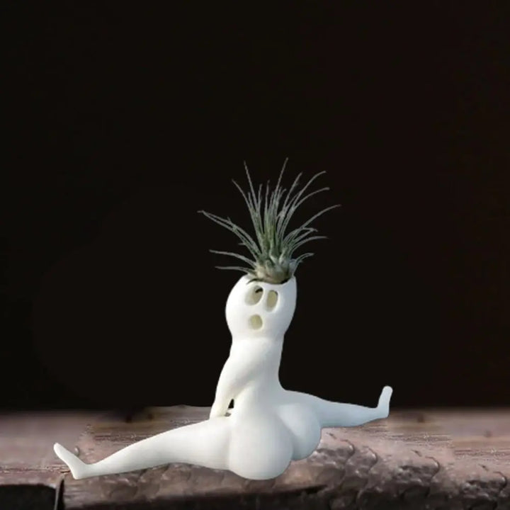 Spookvorme Luchtplant Display - SpookyBuddy