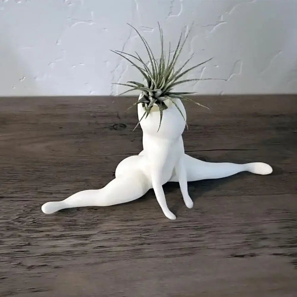 Spookvorme Luchtplant Display - SpookyBuddy