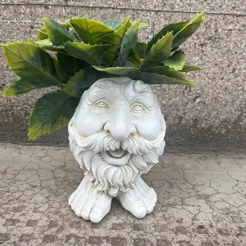 Vaso de planta suculenta de rosto engraçado - GigglePot