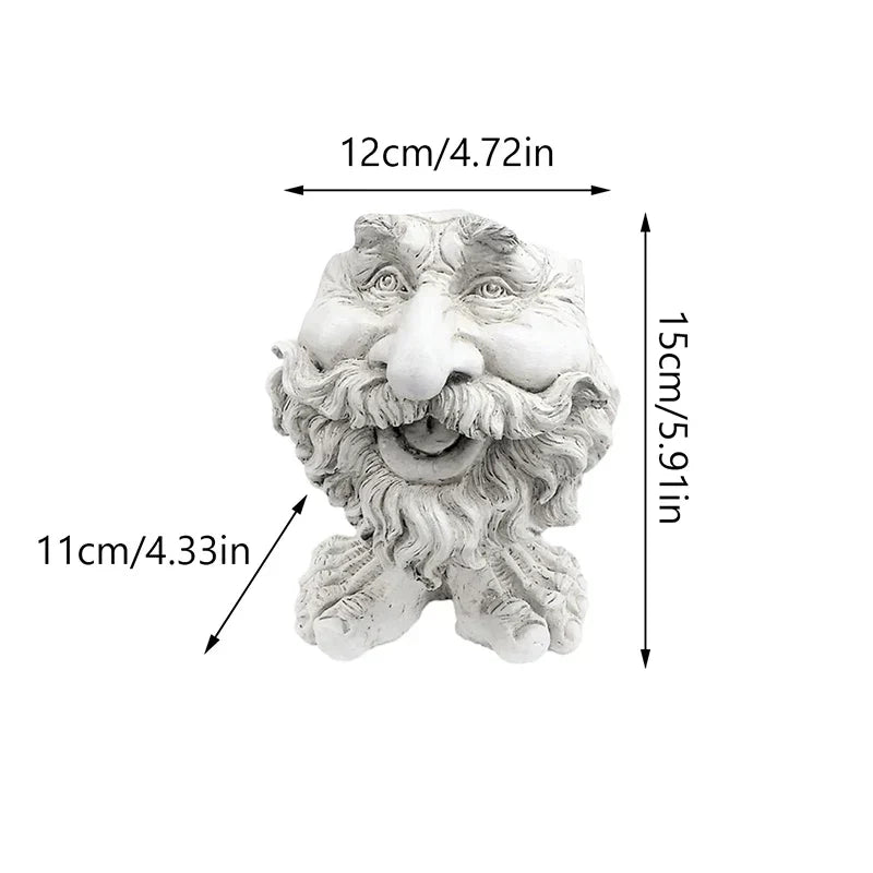 Vaso de planta suculenta de rosto engraçado - GigglePot