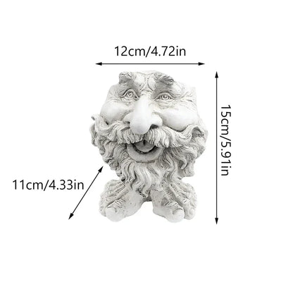 Vaso de planta suculenta de rosto engraçado - GigglePot