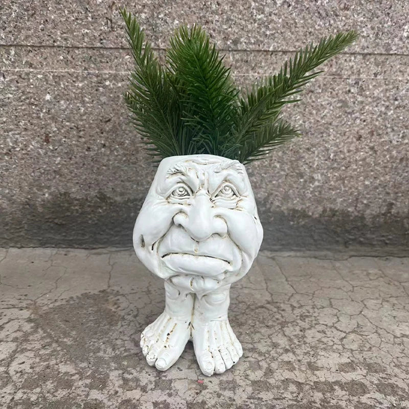 Vaso de planta suculenta de rosto engraçado - GigglePot