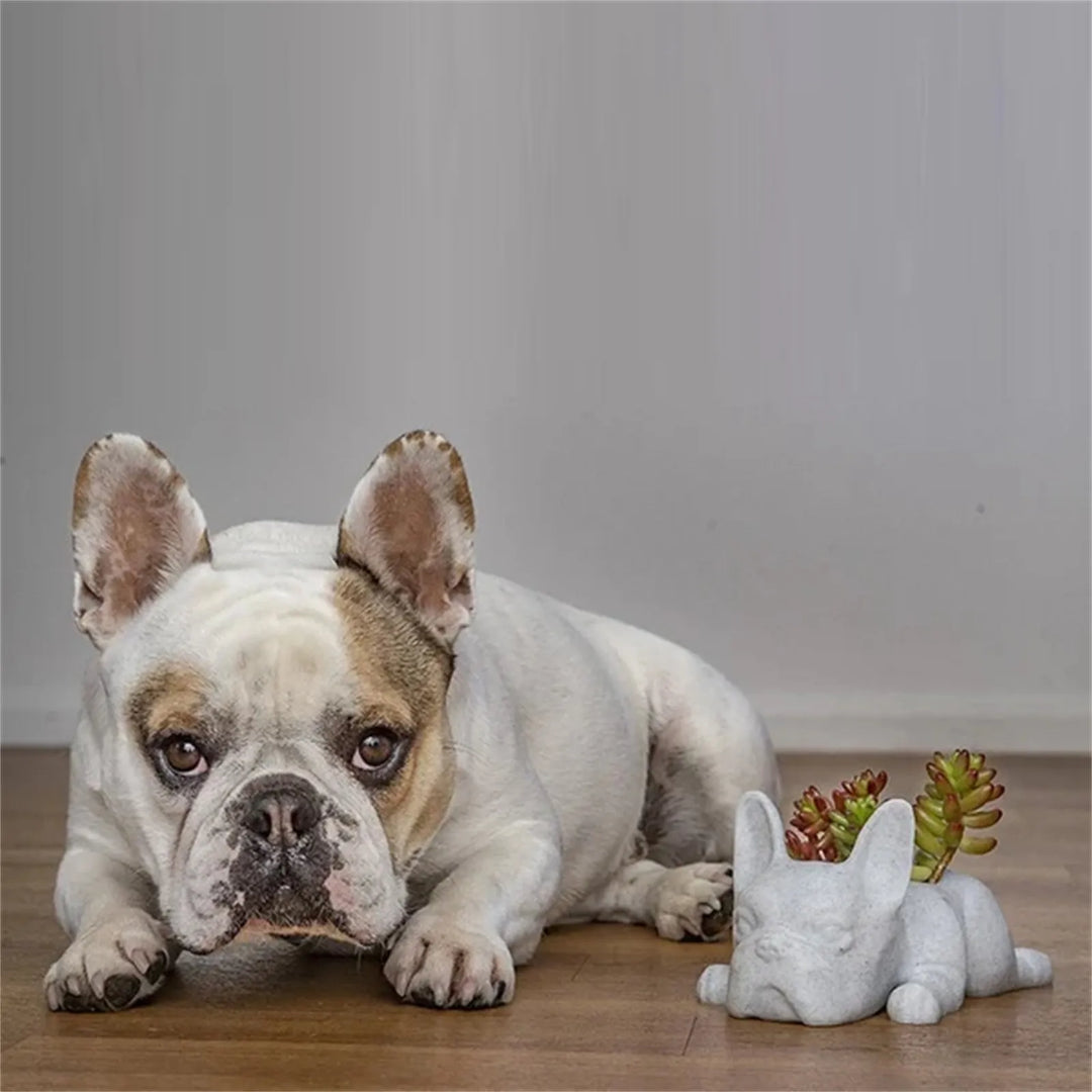 Vaso de suculentas para cães Harz - Buddy