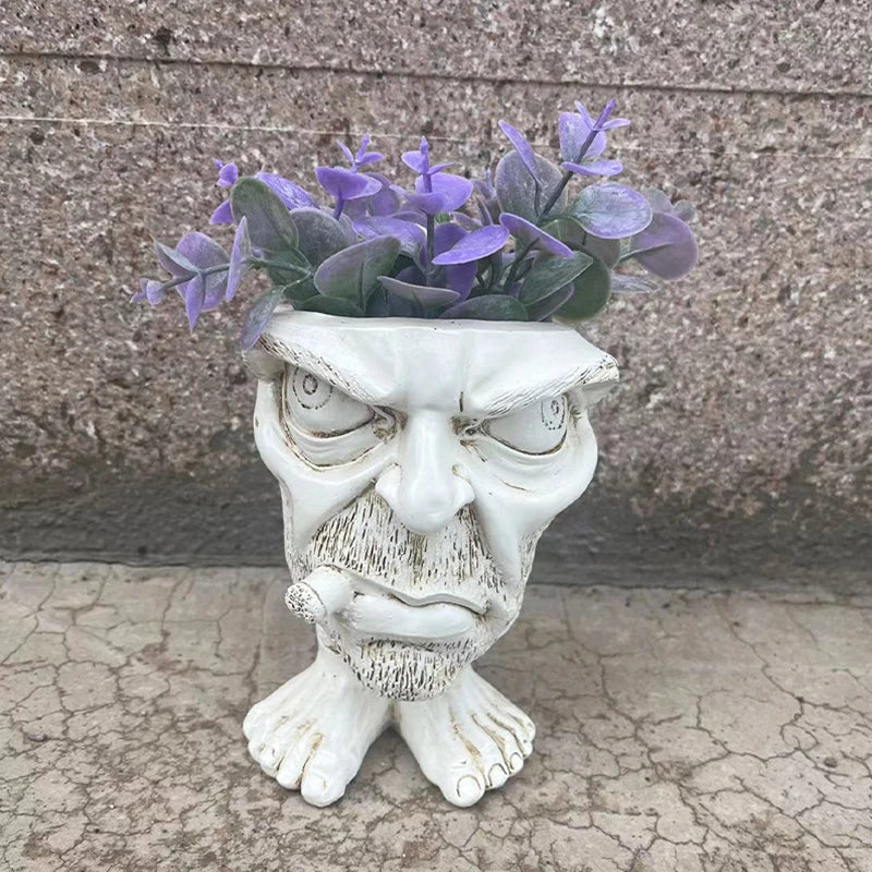 Vaso de planta suculenta de rosto engraçado - GigglePot