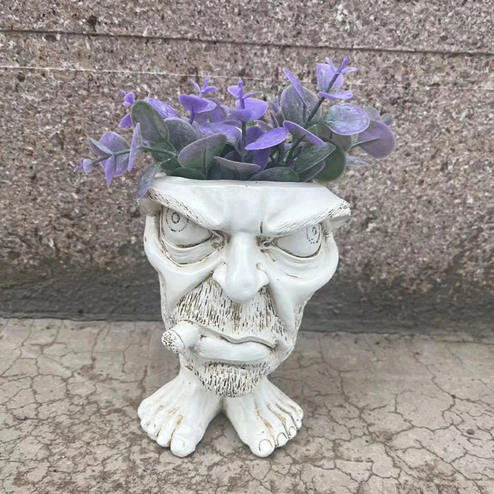 Vaso de planta suculenta de rosto engraçado - GigglePot