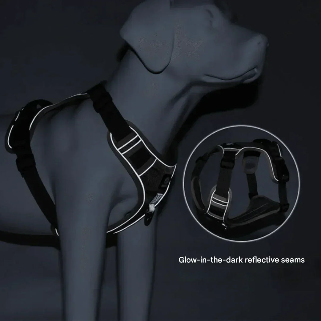 Anti-Trek Dog Harness with Comfort Padding – PullFree-Blue-S-Nora Luxe