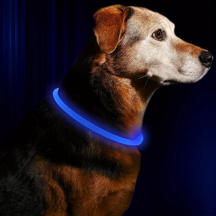 GlowSafe LED Dog Collar – Rechargeable USB Safety Light-Blue-Nora Luxe