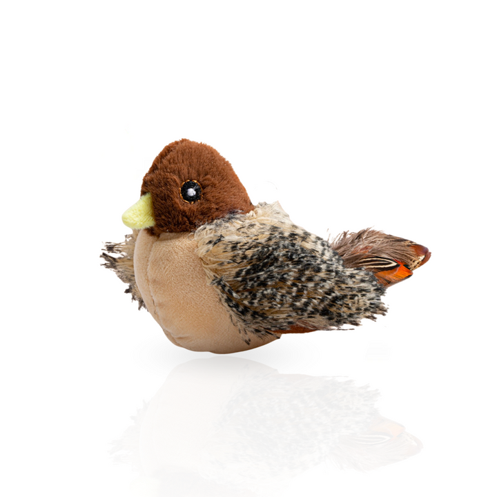 Interactive Cat Toy with Sound and Motion – FlappyChirp-Sound-Nora Luxe