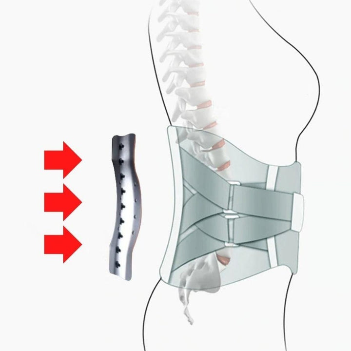 Lumbar Back Brace – Thijmen-Silver-S-The Livary