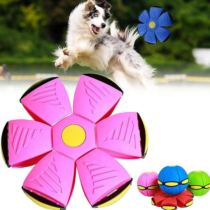 Magic Flying Saucer Ball (Buy 1 Get 1 Free) - MagicFly-Pink + Red-Nora Luxe