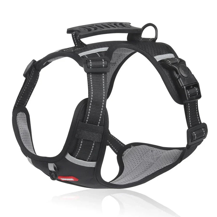 Sturdy & Comfortable Dog Harness - ActivePup™-Black-XS-Nora Luxe