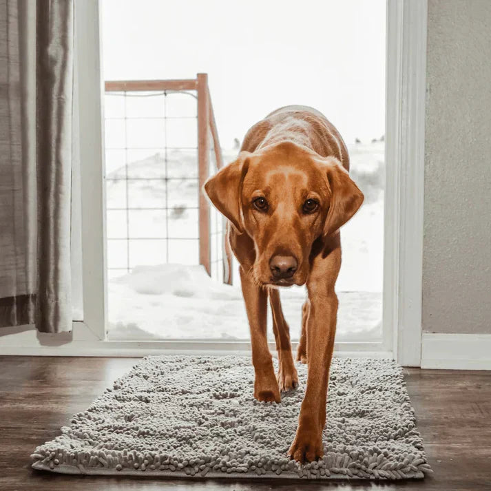 Super Absorbent Dog Mat – PawMat-Gray-15.8×23.6in-Nora Luxe