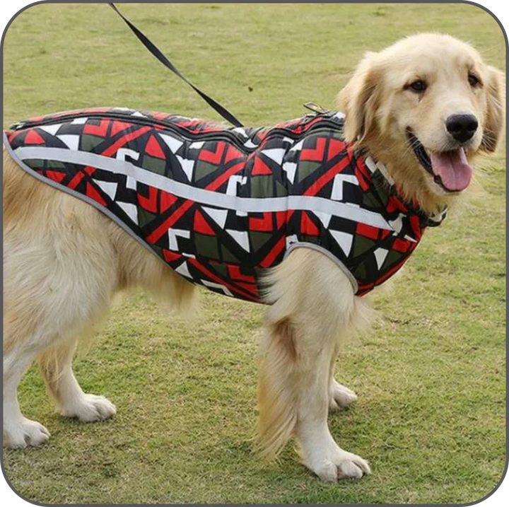 Waterproof Winter Jacket for Dogs - StormGuard-Red graffiti-XS-Nora Luxe